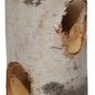 NEW - Pine Tree Farms Log Jammer Feeder Adirondack White Birch Feeder