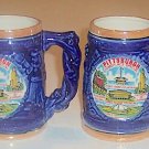 Vintage Souvenir Pittsburgh Lusterware Mug Stein - MIJ Set of 2