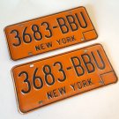 Vintage 1973 New York State Automobile License Plate Set of 2