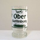 Vintage Ober Gatlinburg Glass Mug