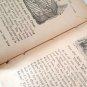 Antique 1884 Aesop's Fables: A New Revised Version From Original Sources