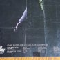 2008 DC Direct The Dark Knight The Joker Deluxe Collector Figure 1:6 Scale NIB