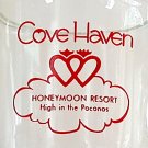 Cove Haven Honeymoon Resort Poconos Stein Glass Mug