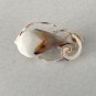 Vintage Carved Shell Brooch / Pin