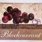 Platin Art GMBH Steff Green Sweet Grapes, Victoria Plum & Blackcurrant Art Print /Posters - Set of 3