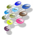Hebrew Urim Thummim kabbalah software Expert Version
