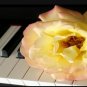 New Rare Healing Music Melody according to Kabbalah 5cd