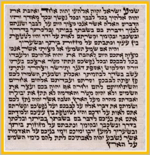 New 2.8" H.Quality Kosher Mezuzah Scroll Parchment Klaf