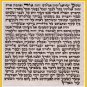 New 2.8" H.Quality Kosher Mezuzah Scroll Parchment Klaf
