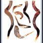 10 LOT Mezuzah 12 cm Kosher Klaf scroll , parchment