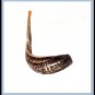 New 20" Rams HORN SHOFAR Authentic Natural From Israel