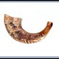 New 17" Rams HORN SHOFAR Authentic Natural From Israel