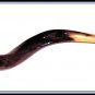 HUGE 40" Yemenite Shofar Kudu Horn KOSHER Music Trumpet