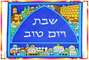 Blue Silk Judaica Shabbat CHALLAH bread cover Israel E