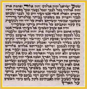 7cm  H.Quality Kosher Mezuzah Scroll Parchment Klaf New