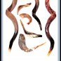 Rosh Hashanah Silver-Plated 27" Yemenite Shofar Kudu