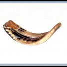 polished 14" Rams Kudu Horn Shofar Authentic Israel New