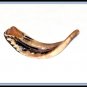 polished 14" Rams Kudu Horn Shofar Authentic Israel New
