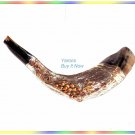 Amazing 16" Silver-plated  Rams Shofar Israel Judaica