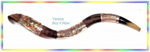 Amazing 35" Silver plated  Kudu Shofar Judaica Israel
