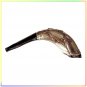Amazing Silver-plated 13" Rams Shofar Judaica Jewish