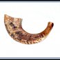 Rosh Hashanah 17" Rams HORN SHOFAR Authentic Natural