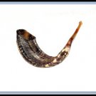 Rosh Hashanah  20" Rams HORN SHOFAR Authentic Natural
