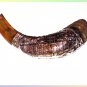 New Amazing Judaica Silver-plated 15" Rams Horn Shofar