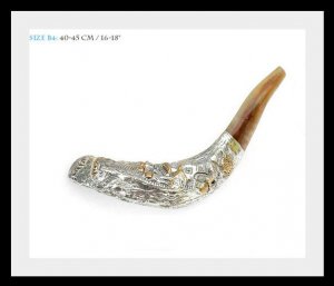 New Special Silver Rams Horn Shofar 40 to 45 Cm Plus Bag Kosher Judaica Israel