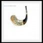 New Special Silver Rams Horn Shofar 23" to 20" Plus bag - Made in Israel Judaica