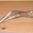 Extraordinary 14"-15" Special Polished Kosher Rams Horn Shofar Israel Judaica