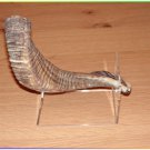 Extraordinary Special Polished 14"-15" Kosher Rams Horn Shofar Israel Judaica