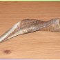 Extraordinary Special Polished 14"-15" Kosher Rams Horn Shofar Israel Judaica