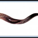 New 29" Yemenite Shofar Kudu Horn Polished Kosher Music