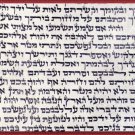 Israel  6" size Mezuzah Kosher Klaf , scroll , parchment