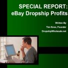 Ebay Dropship Profits