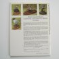 Patterns and Instructions for Carving Authentic Birds by H. D. Green 1982