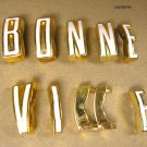 1961 Pontiac Bonneville fender / door letter set
