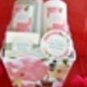 CARNATION 5 PC BATH SET IN FLOWER POT
