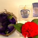 LOLITA LEMPICKA THE LOVE NEST HIS & HERS 2 PC PERFUME & COLOGNE GIFT SET LOLITA LEMPICKA THE LOVE NEST HIS & HERS 2 PC PERFUME & COLOGNE GIFT SET