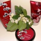BATH & BODY WORKS JAPANESE CHERRY BLOSSOM 3 PC SET W/ BODY BUTTER