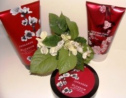 BATH & BODY WORKS JAPANESE CHERRY BLOSSOM 3 PC SET W/ BODY BUTTER