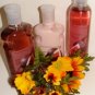 BATH & BODY WORKS BROWN SUGAR & FIG 3 PC BATH SET