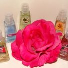 BATH & BODY WORKS 5 PC POCKET ANTI-BATERIAL HAND GELS