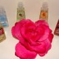 BATH & BODY WORKS 5 PC POCKET ANTI-BATERIAL HAND GELS