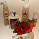 BATH & BODY WORKS WARM VANILLA SUGAR 5 PC ANTI-BACTERIAL COLLECTION BATH & BODY WORKS WARM VANILLA SUGAR 5 PC ANTI-BACTERIAL COLLECTION