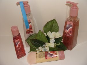 BATH & BODY WORKS BROWN SUGAR & FIG 4 PC TRAVEL HAND CARE SET
