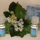 BATH & BODY WORKS WINTER 3 BOTTLE ROOM FRAGRANCE OILS & 2 REFILL BULBS SET BATH & BODY WORKS WINTER 3 BOTTLE ROOM FRAGRANCE OILS & 2 REFILL BULBS SET
