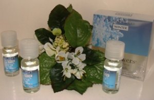 BATH & BODY WORKS WINTER 3 BOTTLE ROOM FRAGRANCE OILS & 2 REFILL BULBS SET