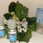 BATH & BODY WORKS WINTER 3 BOTTLE ROOM FRAGRANCE OILS & 2 REFILL BULBS SET